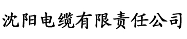 小污女导航电缆厂logo